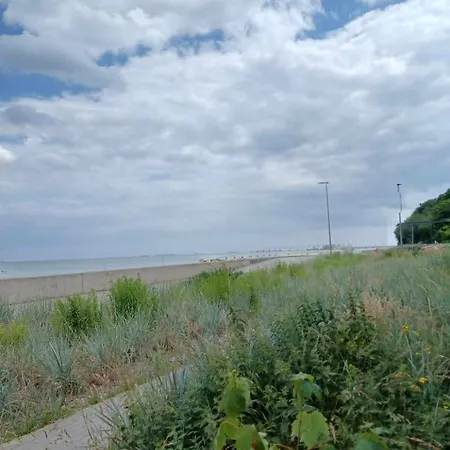 Holenderski, Ogród, Blisko Plaży, Na Luzie