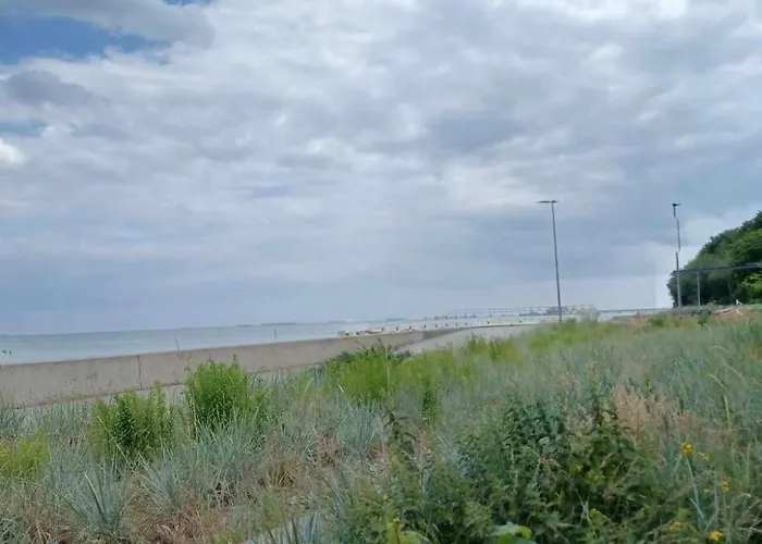 Holenderski, Ogród, Blisko Plaży, Na Luzie